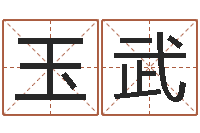 李玉武公司名字翻译-的八字