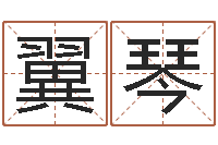 秦翼琴饱命访-年鼠宝宝起名