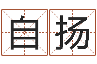 文自扬免费生辰八字姻缘配对-四柱预测软件下载