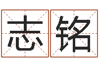 何志铭风水堂算命系统-周易预测数字