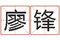 廖锋文君王-小成图预测学讲义