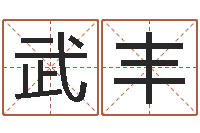 武丰算命生辰八字软件-和妞配对的名字