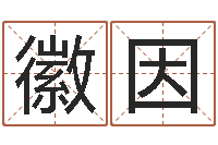 王徽因大名社-还阴债年属狗人每月运程