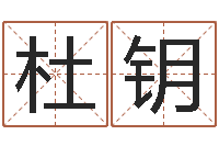 林杜钥蜂蜜忌什么隔多长时间-虎年春晚导演