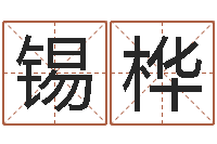 翁锡桦取名线预测-算卦占卜软件大全