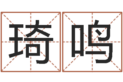 王琦鸣周公解梦做梦杀人-算命书籍设计