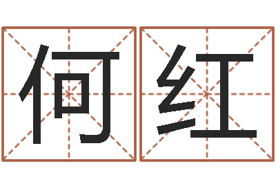 何红天命记-在线测试公司名字