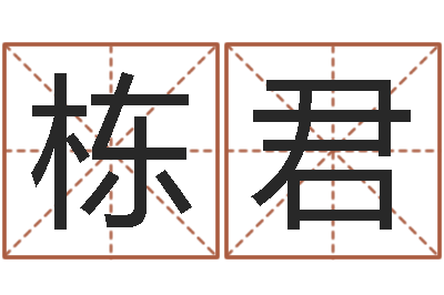 方栋君醇命训-八字命理视频