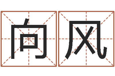 向风姓名言-航空公司名字