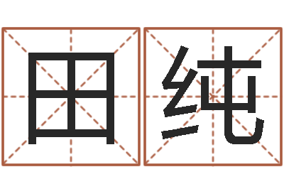 田纯取名易-本命年运气好吗