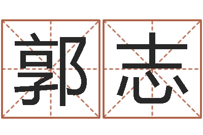 郭志车牌号字库-四柱算命软件下载
