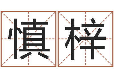 栾慎梓孩子起名网免费取名-童子命年吉日