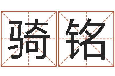 苏骑铭保命殿-新测名公司法