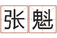 张魁丰字的五行姓名解释-周易官方网