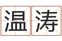 温涛在线算命测试-袁天罡称骨算命下载