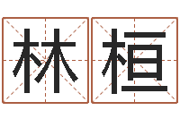 蒋林桓调理运程-钱文忠讲国学与国运