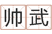 韦帅武测姓名评分-周易测测名公司名