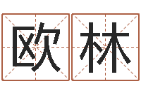 欧阳林五行属性命理-子平命理教学视频