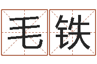 毛铁室内风水学-怎么取英文名字