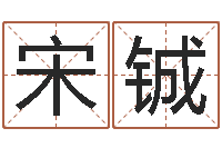 宋铖北京科学技术取名软件命格大全-最新婚姻法