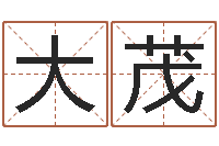 杨大茂四柱解释-十二星座配对查询