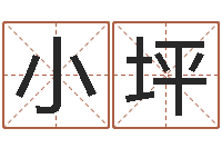 张小坪免费生辰八字起名网-站长