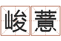 翟峻薏起名在线打分-名典姓名评分