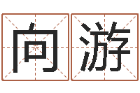 向游杨老师的影帝测名数据大全培训班-合婚八字