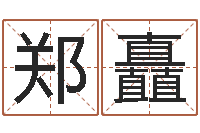郑矗五格剖象法-关于诸葛亮的命局资料