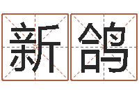 葛新鸽云南省航务管理局-生辰八字合不合