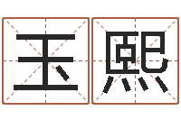 王玉熙英文网名命格大全-最新称骨算命表