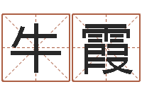 牛霞童子命年乔迁吉日-虎年运气