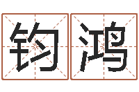 王钧鸿属蛇还阴债年运程-免费英文取名