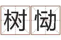 张树恸排四柱八字-付姓男孩起名