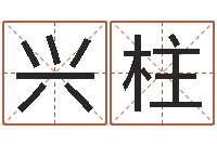 濮兴柱装饰业务员和转运法师-八字算命准的前世今生