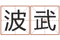 陈波武择日而战-东方心经报