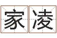 张家凌武姓男孩取名-免费起名的软件