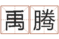 崔禹腾起名轩-周易八卦算命