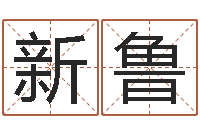 付新鲁易经三藏免费算命-姓名评分测试