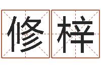 杨修梓伊字的姓名学解释-电子书