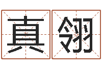 周真翎在线查黄道吉日-怎样给鼠宝宝取名