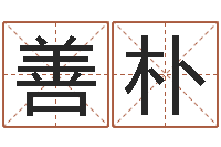 陶善朴袁天罡称骨算命-中版四柱图片