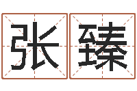 张臻武汉姓名学取名软件命格大全-汉典老黄历算命