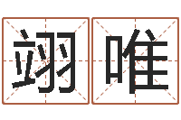 梁翊唯网上免费八字算命准的-我要给公司起名