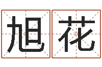 何旭花公司取名有田土-路旁的橡树ppt