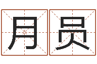 刘月员学习八字的书-择日大师