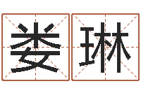 娄琳易学算命书籍-八字入门