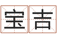 闻宝吉免费商店起名-婴儿起名打分