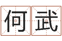 何武空间免费播放器名字-免费企业起名