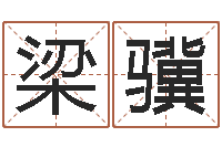 梁骥建筑测名公司起名-科学起名的免费网站